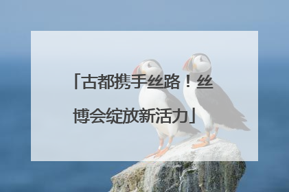 古都携手丝路！丝博会绽放新活力
