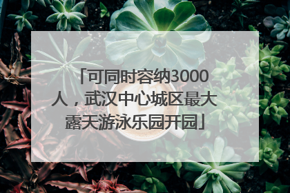 可同时容纳3000人，武汉中心城区最大露天游泳乐园开园