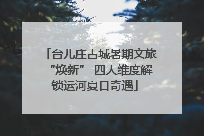 台儿庄古城暑期文旅“焕新” 四大维度解锁运河夏日奇遇