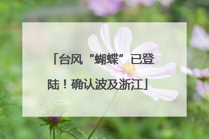 台风“蝴蝶”已登陆！确认波及浙江