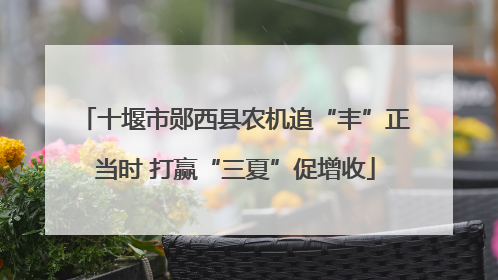 十堰市郧西县农机追“丰”正当时 打赢“三夏”促增收