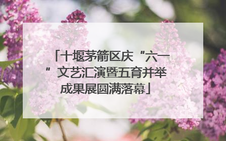 十堰茅箭区庆“六一”文艺汇演暨五育并举成果展圆满落幕