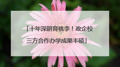 十年深耕育桃李！政企校三方合作办学成果丰硕