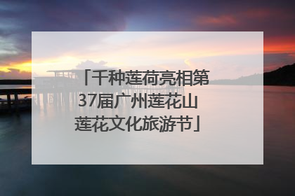 千种莲荷亮相第37届广州莲花山莲花文化旅游节