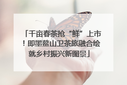 千亩春茶抢“鲜”上市！即墨鳌山卫茶旅融合绘就乡村振兴新图景