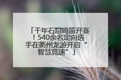千年石窟鸣笛开赛！540余名定向选手在衢州龙游开启“智慧竞速”