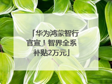 华为鸿蒙智行官宣！智界全系补贴2万元