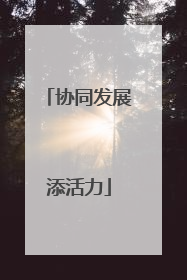 协同发展添活力
