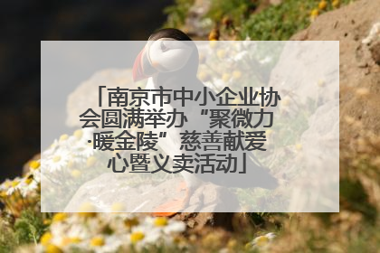 南京市中小企业协会圆满举办“聚微力·暖金陵”慈善献爱心暨义卖活动