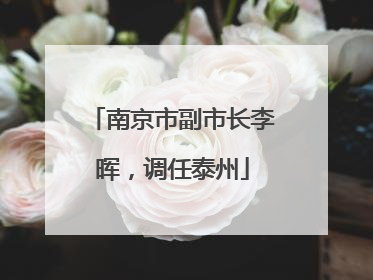 南京市副市长李晖，调任泰州