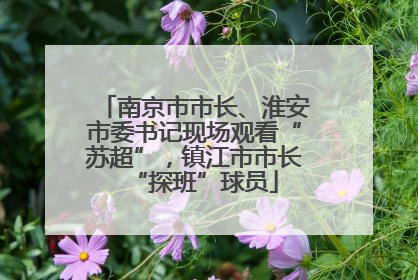 南京市市长、淮安市委书记现场观看“苏超”，镇江市市长“探班”球员