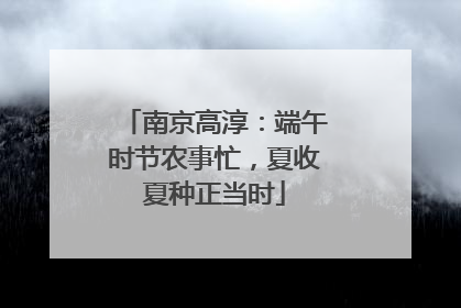 南京高淳：端午时节农事忙，夏收夏种正当时