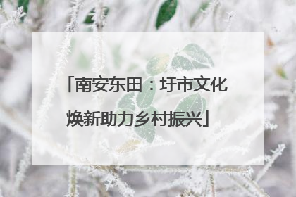 南安东田：圩市文化焕新助力乡村振兴