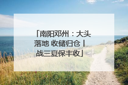 南阳邓州：大头落地 收储归仓丨战三夏保丰收