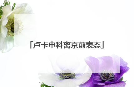 卢卡申科离京前表态