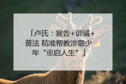 卢氏：宣告+训诫+普法 精准帮教涉罪少年“重启人生”