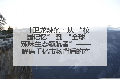 卫龙辣条：从 “校园记忆” 到 “全球辣味生态领航者”——解码千亿市场背后的产品创新与全链路破圈