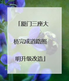 厦门三座大桥完成道路照明升级改造