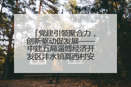 党建引领聚合力，创新驱动促发展——中建五局淄博经济开发区沣水镇高西村安置项目建设纪实