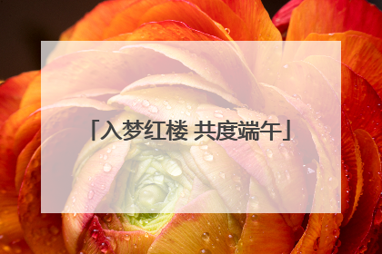 入梦红楼 共度端午