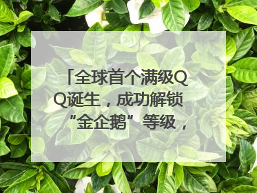 全球首个满级QQ诞生，成功解锁“金企鹅”等级，腾讯高管回应