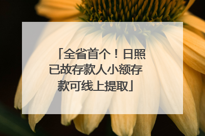 全省首个！日照已故存款人小额存款可线上提取