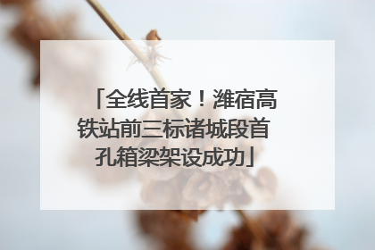 全线首家！潍宿高铁站前三标诸城段首孔箱梁架设成功