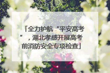 全力护航“平安高考”，湖北孝感开展高考前消防安全专项检查