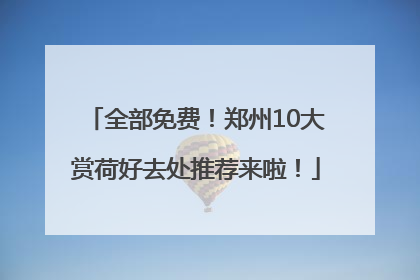 全部免费！郑州10大赏荷好去处推荐来啦！