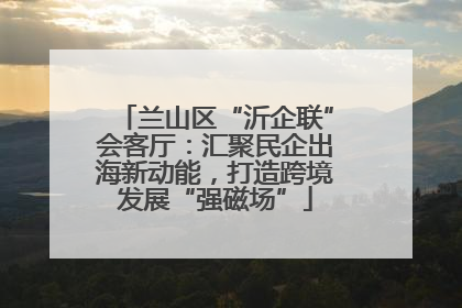 兰山区“沂企联”会客厅：汇聚民企出海新动能，打造跨境发展“强磁场”