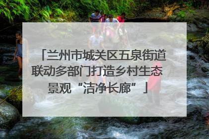 兰州市城关区五泉街道联动多部门打造乡村生态景观“洁净长廊”