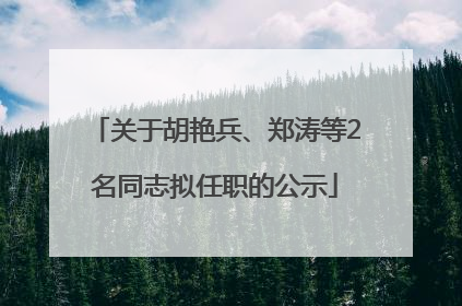 关于胡艳兵、郑涛等2名同志拟任职的公示