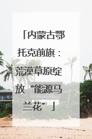 内蒙古鄂托克前旗：荒漠草原绽放“能源马兰花”