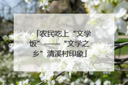 农民吃上“文学饭”——“文学之乡”清溪村印象