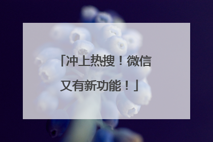 冲上热搜！微信又有新功能！