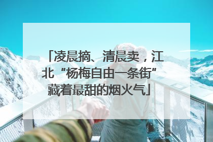 凌晨摘、清晨卖，江北“杨梅自由一条街”藏着最甜的烟火气