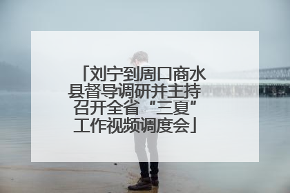 刘宁到周口商水县督导调研并主持召开全省“三夏”工作视频调度会