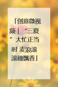 创意微视频｜“三夏”大忙正当时 麦浪滚滚穗飘香