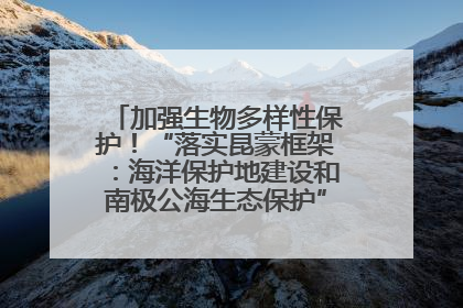 加强生物多样性保护！“落实昆蒙框架：海洋保护地建设和南极公海生态保护”主题论坛将举办