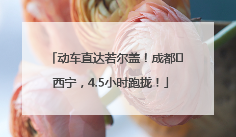 动车直达若尔盖！成都⇄西宁，4.5小时跑拢！