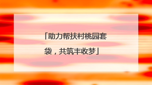 助力帮扶村桃园套袋，共筑丰收梦