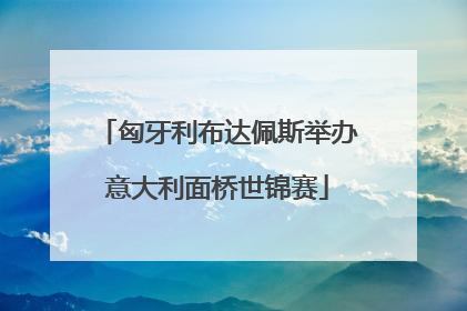 匈牙利布达佩斯举办意大利面桥世锦赛