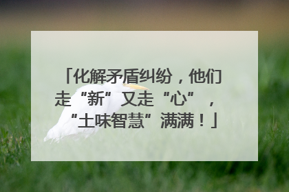 化解矛盾纠纷，他们走“新”又走“心”，“土味智慧”满满！