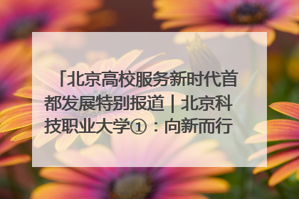 北京高校服务新时代首都发展特别报道｜北京科技职业大学①：向新而行，为首都低空经济发展提供“即战力”