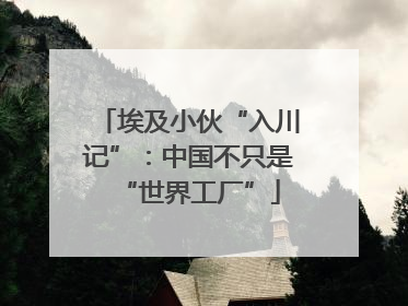 埃及小伙“入川记”：中国不只是“世界工厂”