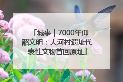 城事｜7000年仰韶文明：大河村遗址代表性文物首回原址