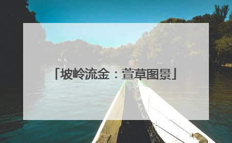 坡岭流金：萱草图景