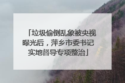 垃圾偷倒乱象被央视曝光后，萍乡市委书记实地督导专项整治