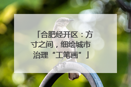 合肥经开区：方寸之间，细绘城市治理“工笔画”