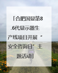 合肥国显第8.6代显示器生产线项目开展“安全咨询日”主题活动